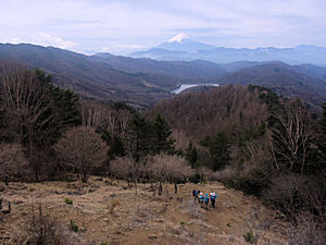 写真:唐松尾根から富士山を望む